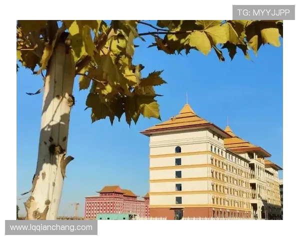 南京羽毛球队挑战赛特别报道：从默默无闻到辉煌成就的奋斗历程